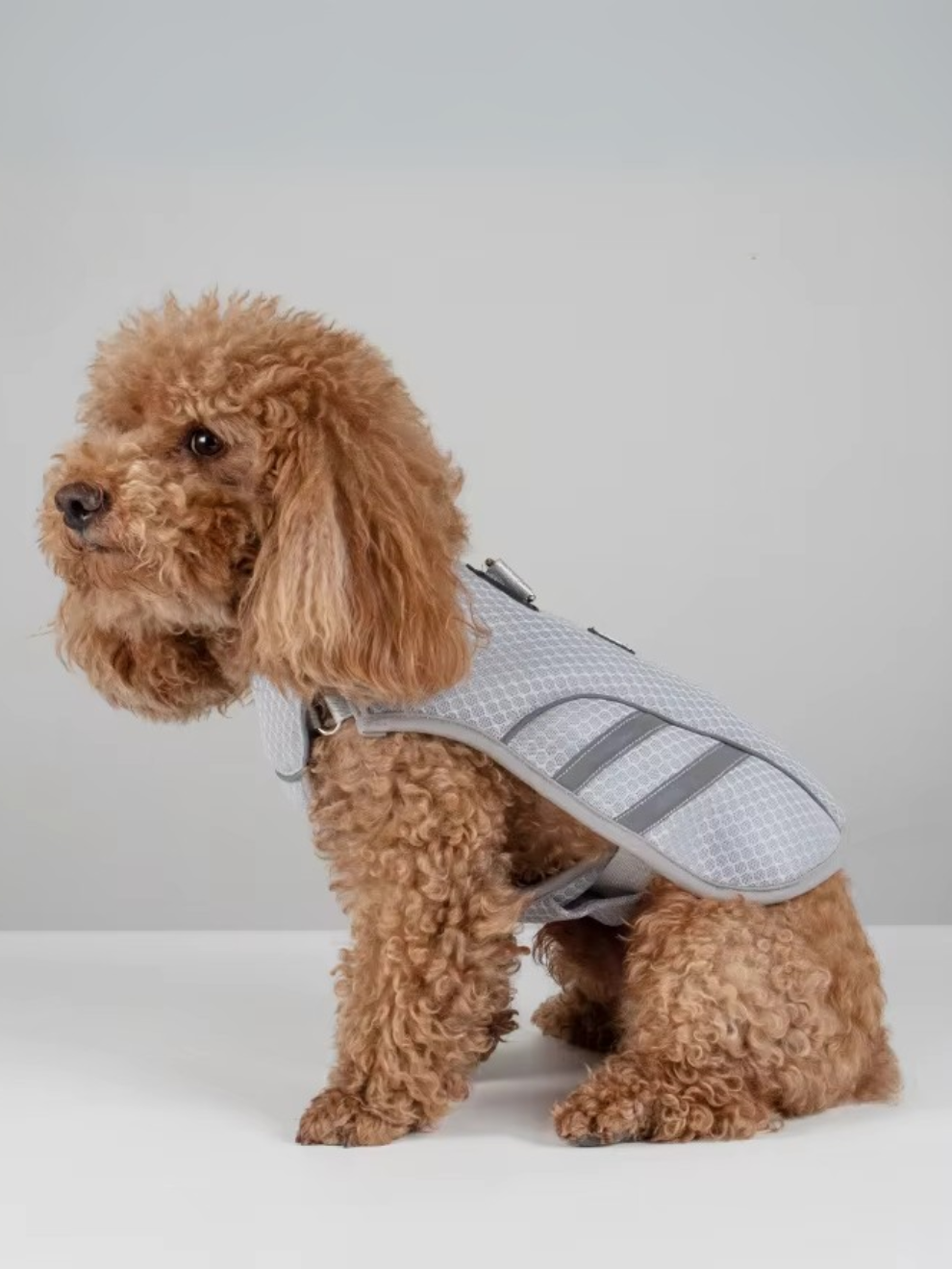 TOKIO Summer Bundle - Everyday White, Bag Black & Cooling Harness