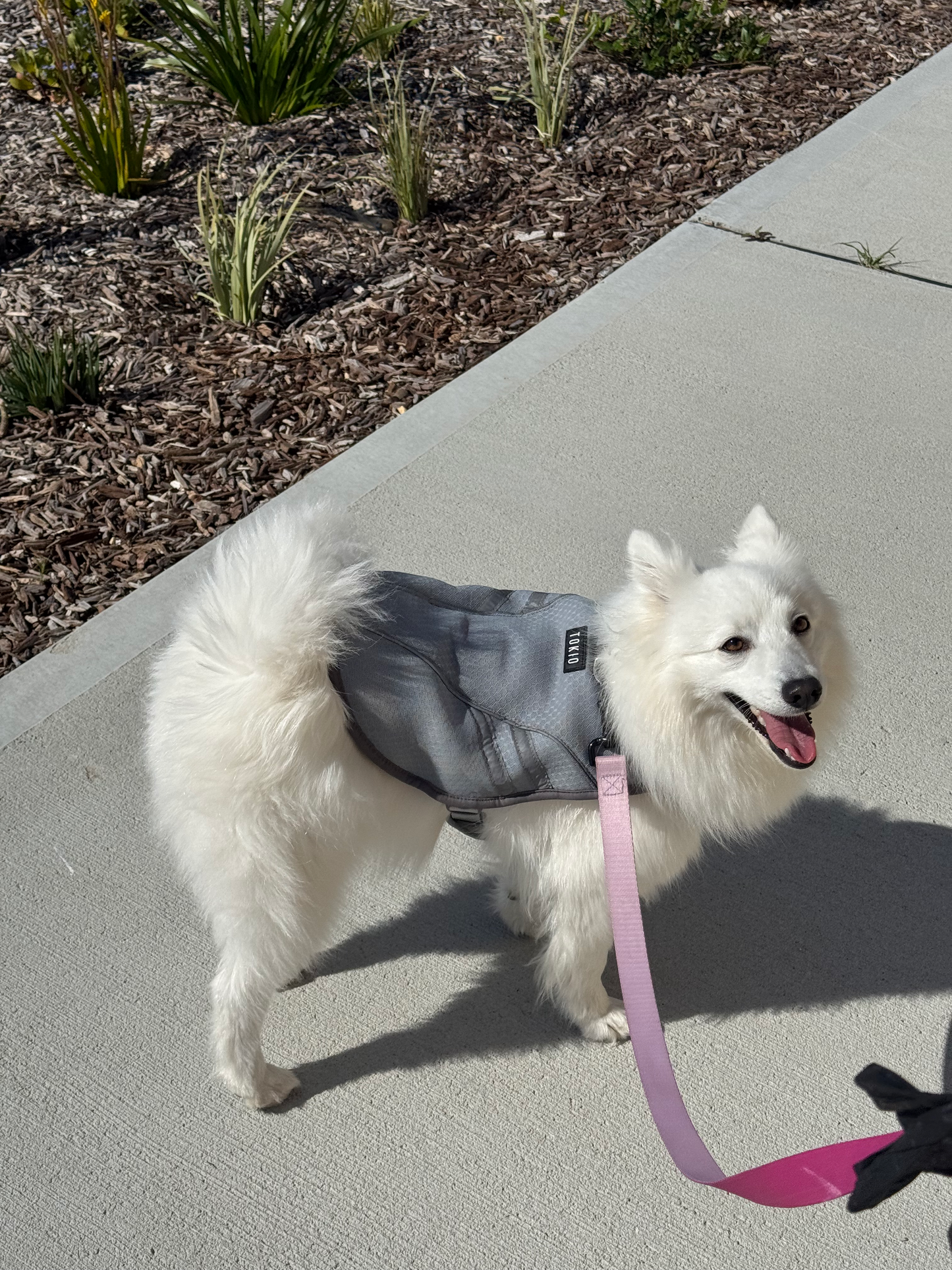 TOKIO Cooling Harness