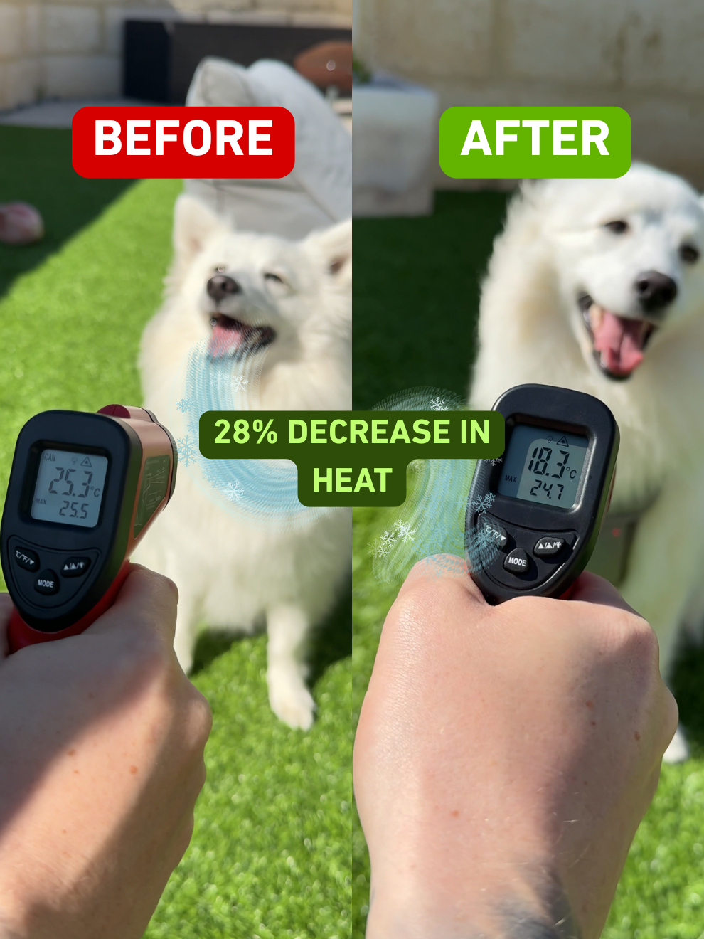 TOKIO Summer Bundle - Everyday White, Bag Green & Cooling Harness