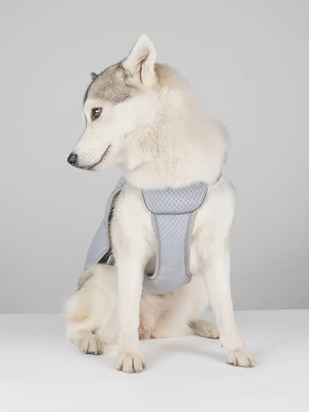 TOKIO Summer Bundle - Everyday White, Bag Black & Cooling Harness