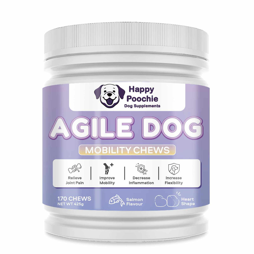 Tokio X Happy Poochie Active & Healthy Bundle