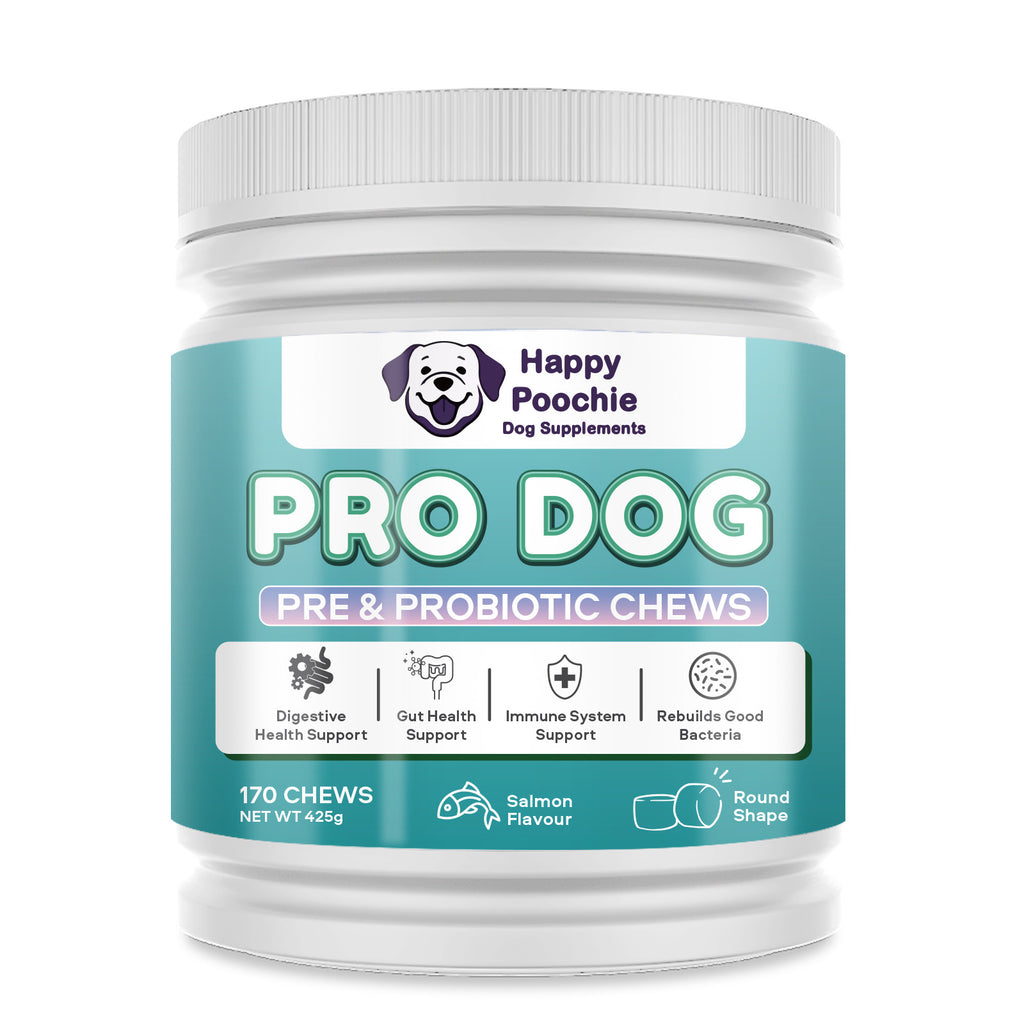 Tokio X Happy Poochie Active & Healthy Bundle
