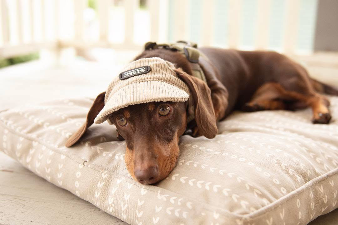 Pawfect Trio Dog Hat Sand (S)