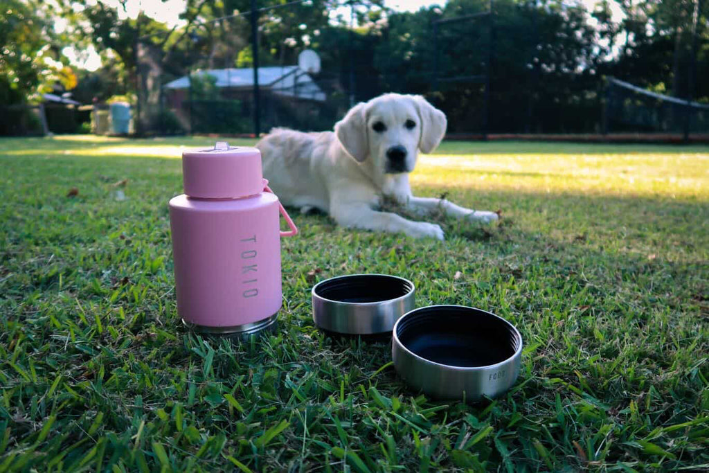 TOKIO Everyday Bottle Blush