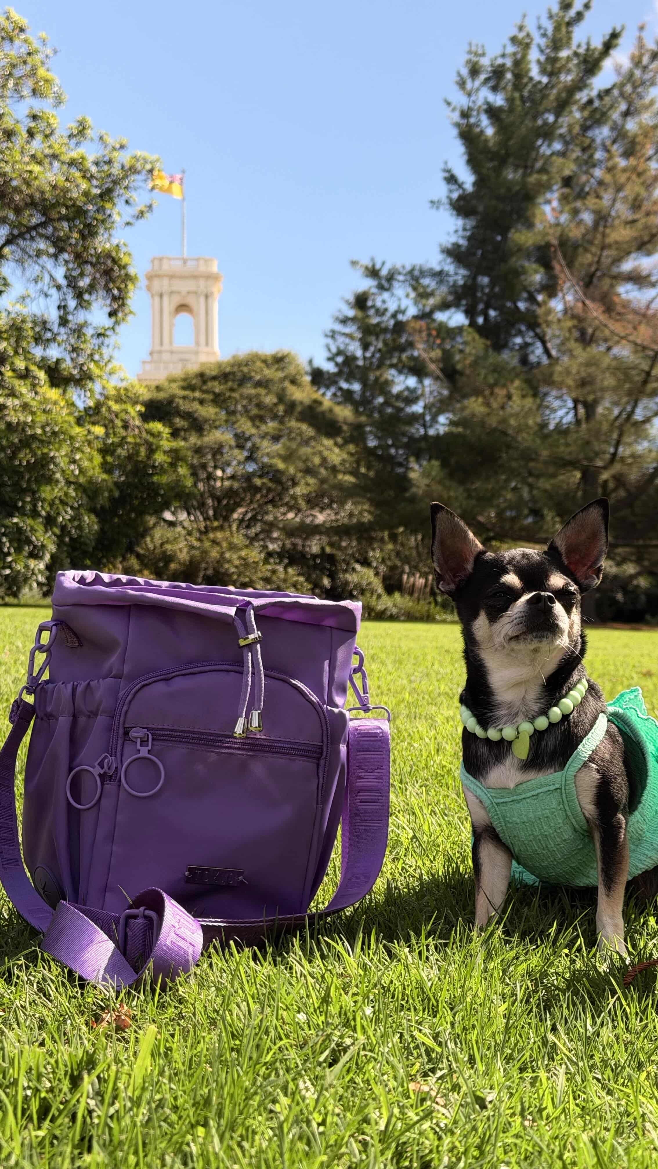 Tokio Bag Iris