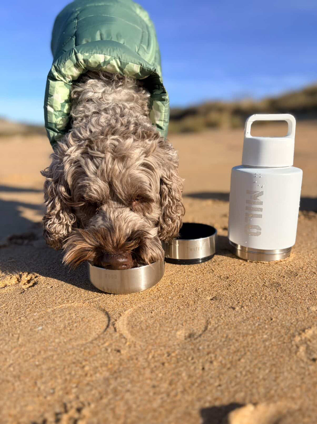 TOKIO Trek Bottle White