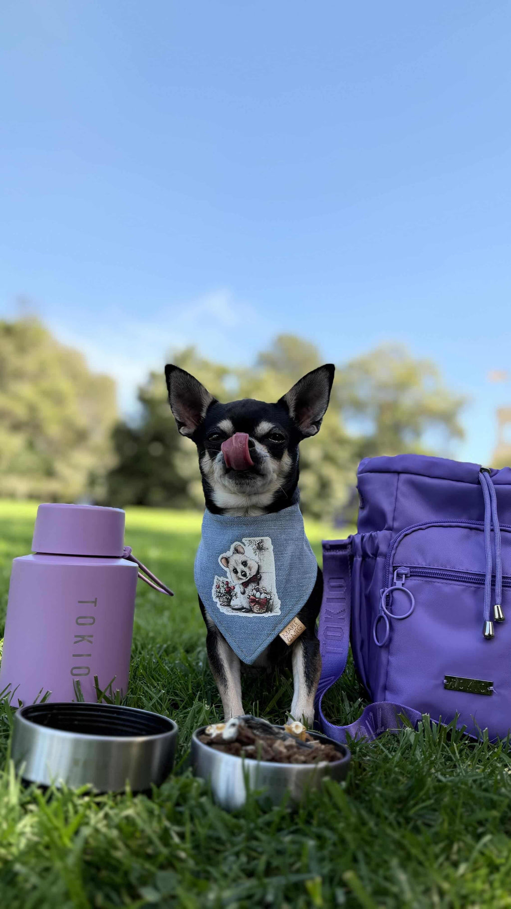 TOKIO Everyday Bottle Lilac