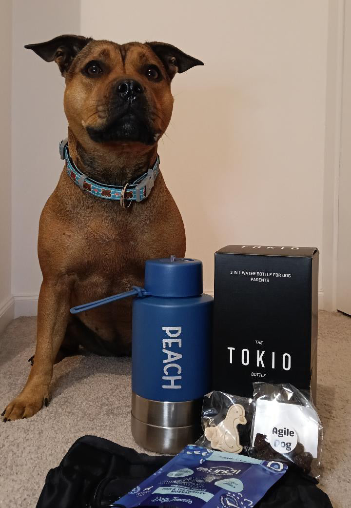 TOKIO Everyday Bottle Navy
