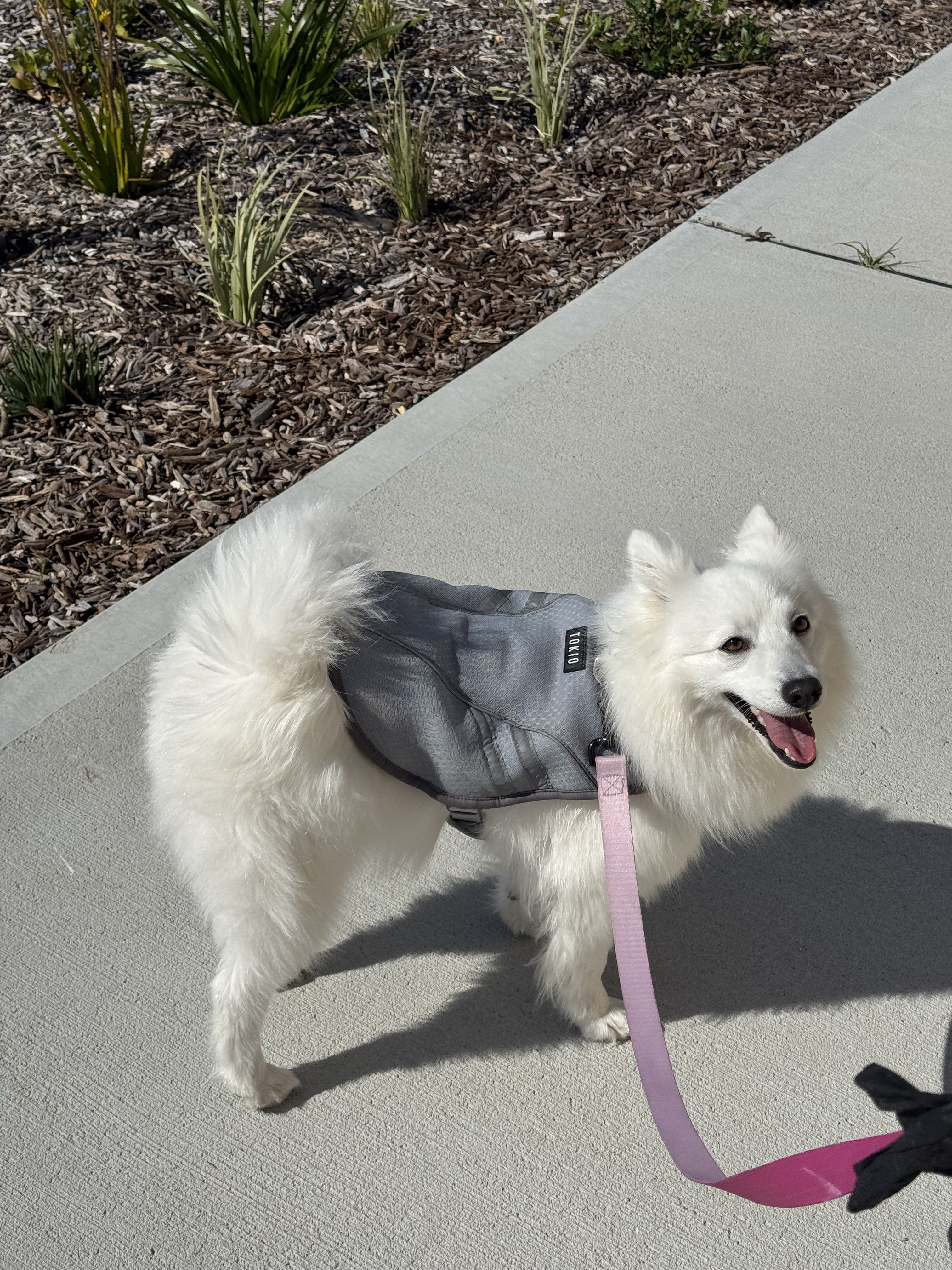 TOKIO Cooling Harness