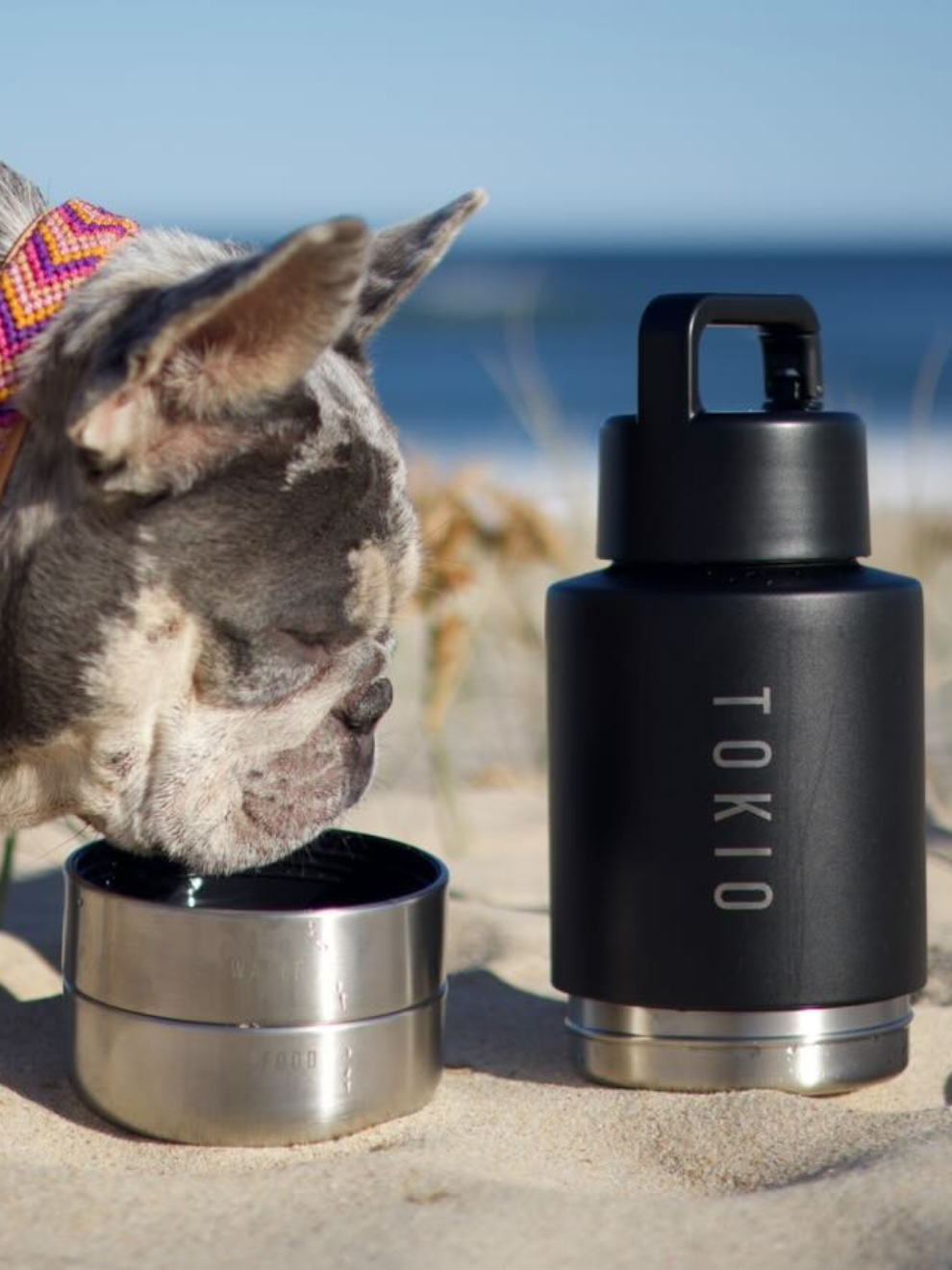 TOKIO Trek Bottle Black